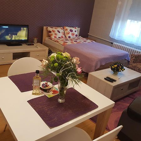 Sara - Modern Apartment In The City Center Novi Sad Eksteriør billede